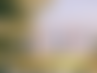 HƯỚNG DẪN NGƯỜI VIỆT Ở NƯỚC NGOÀI MUA NHÀ ĐẤT TẠI VIỆT NAM