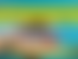 NHỮNG THAY ĐỔI TRONG QUY TRÌNH SANG TÊN SỔ HỒNG CHO NHÀ ĐẦU TƯ NƯỚC NGOÀI