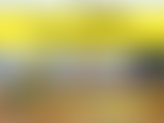 ĐẦU TƯ ĐẤT DỰ ÁN