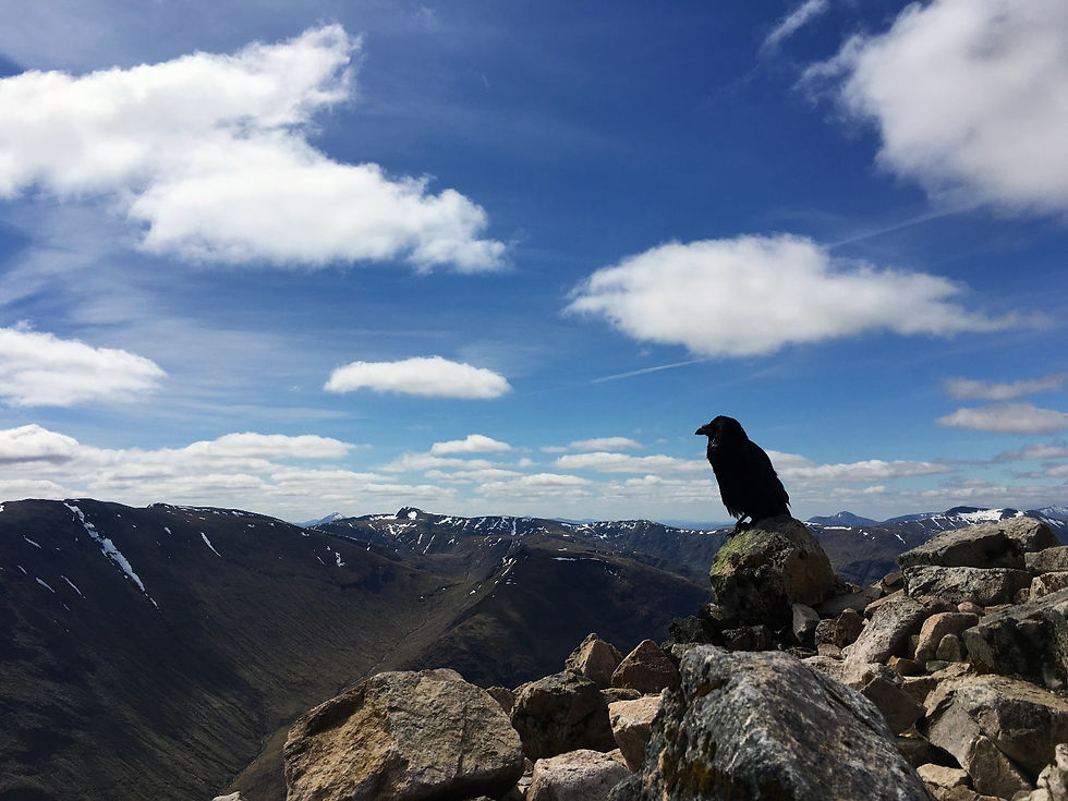 Good weather early in the season, but still freezing at 1000m!