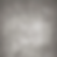 Grey Canvas