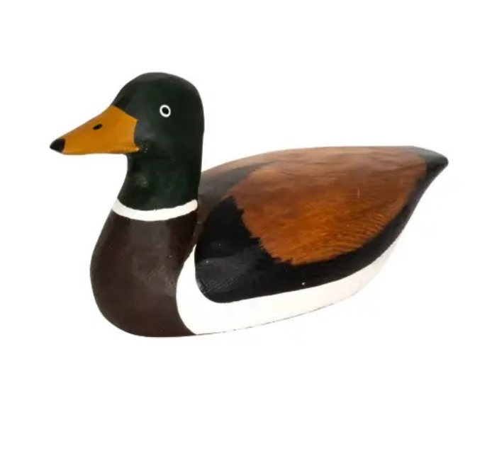 James Pond The Sitting Duck