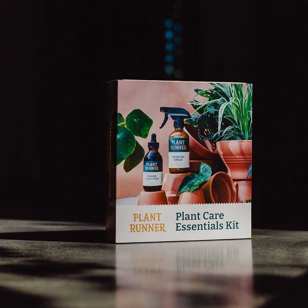 Thumbnail: Plant Care Essentials Kit