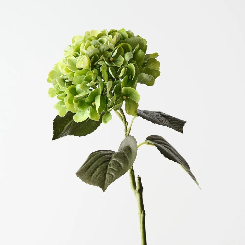 Hydrangea Spray - Green