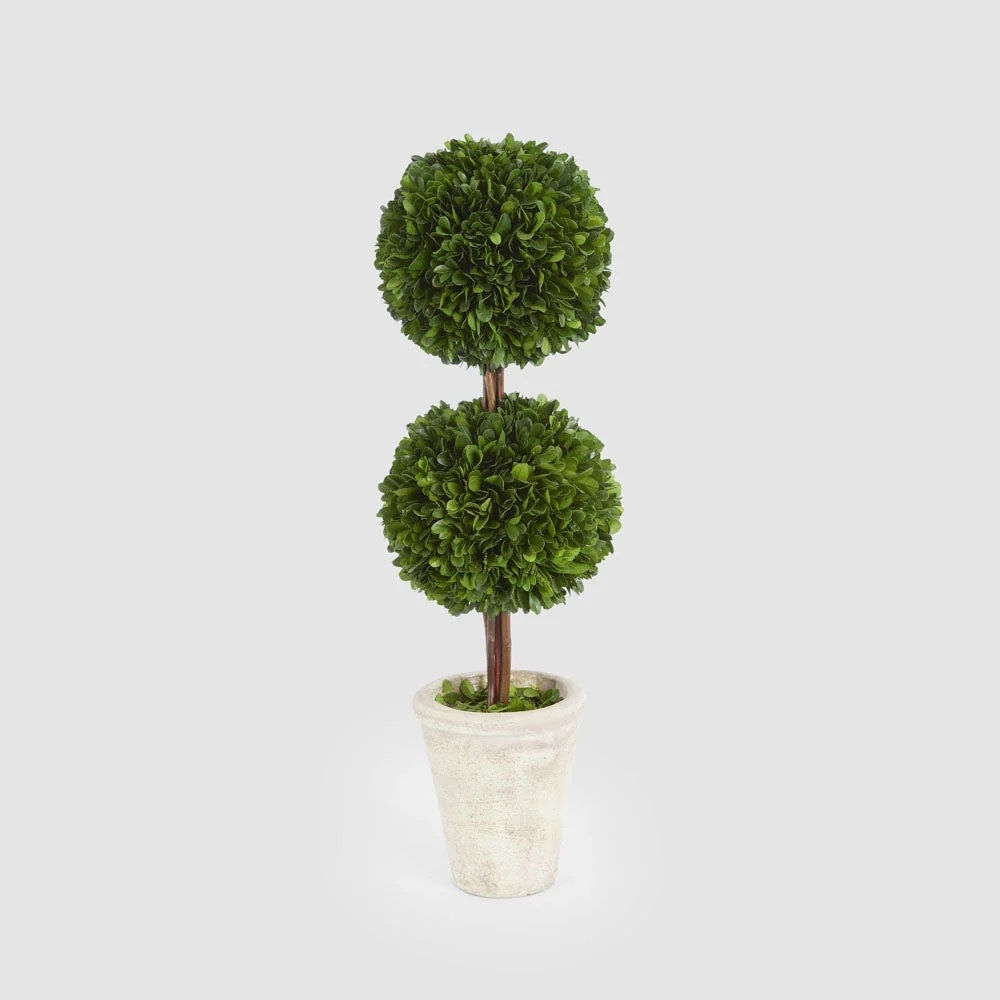 Preserved Boxwood Double Ball Topiary