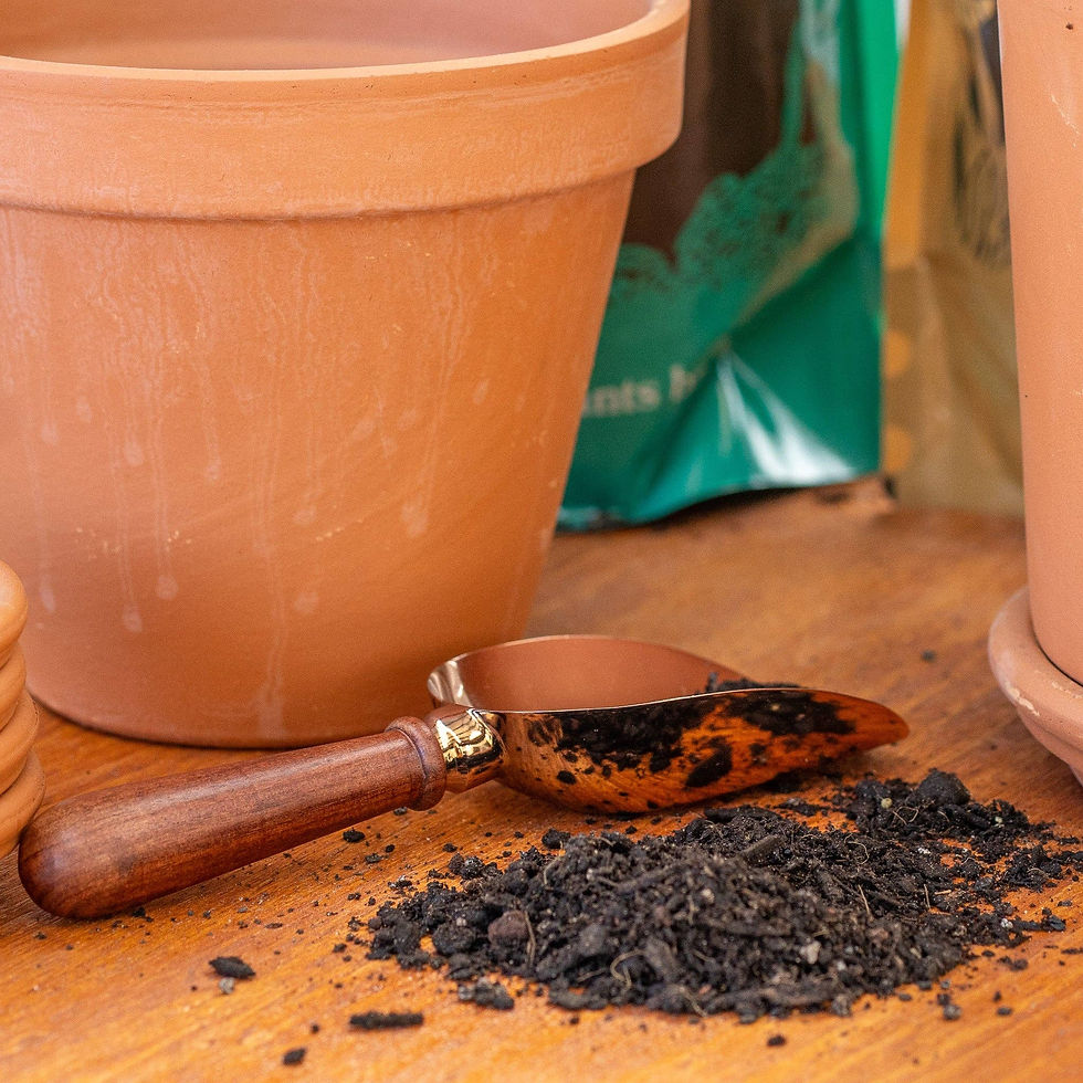 Thumbnail: Copper Potting Scoop