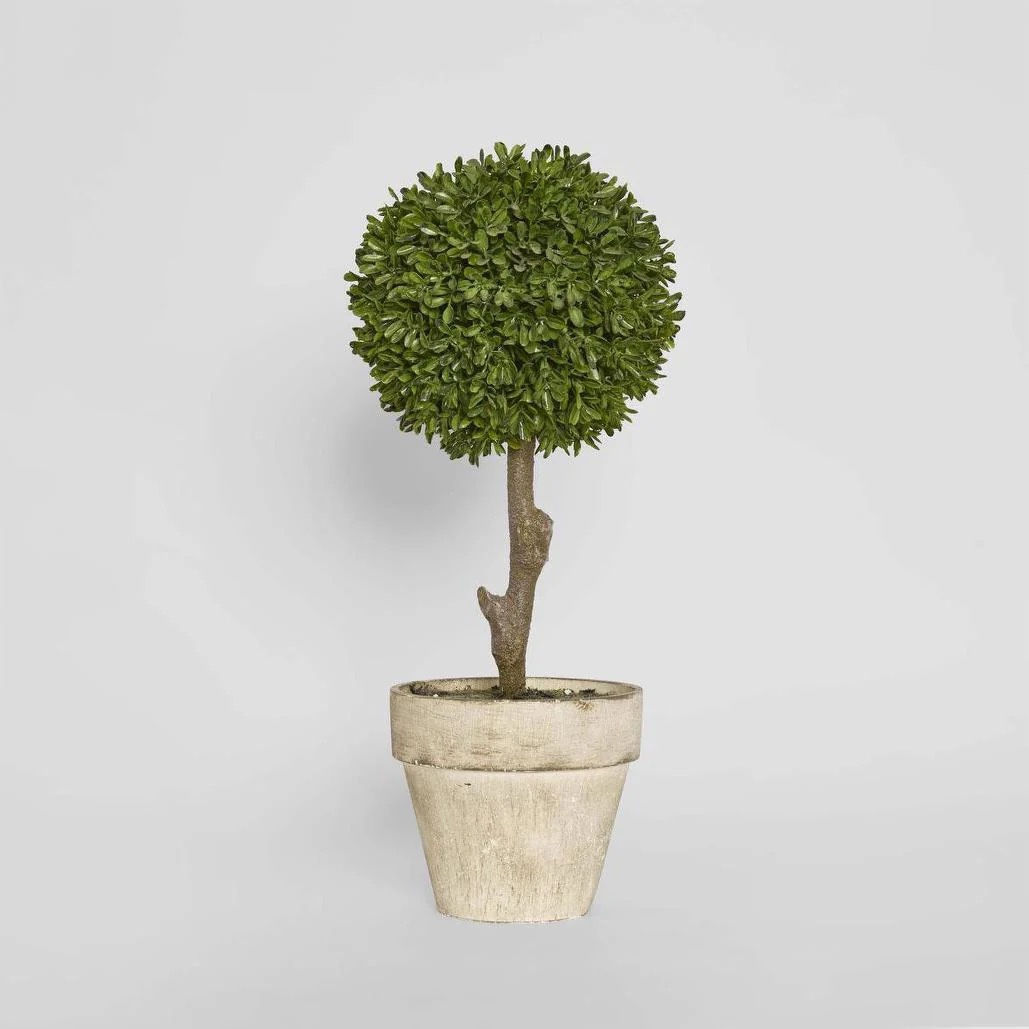 Preserved Boxwood Ball Topiary 45cm