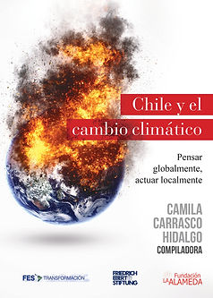 CarrascoyMaillet2019InstitucionalidadambientalenChile_pages-to-jpg-0001.jpg