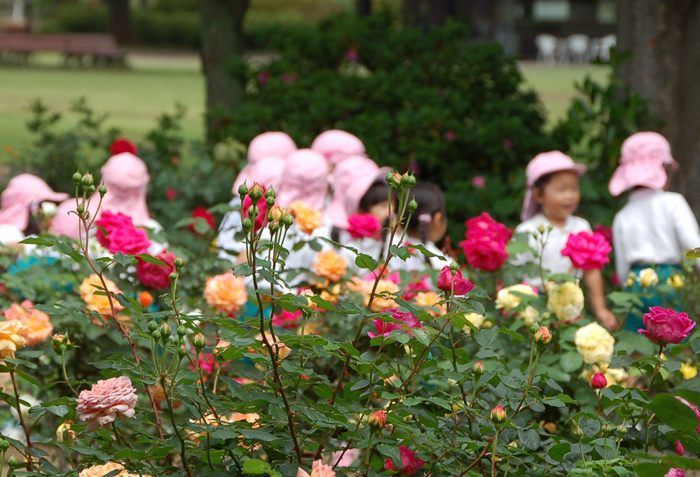 挨拶する人 しない人