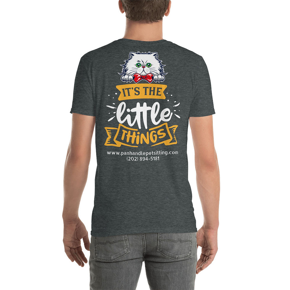 Thumbnail: IT'S THE LITTLE THINGS TEE