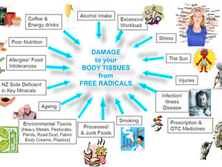 What are FREE radicals ?