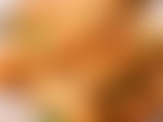 Long Crab Roll Spring Roll