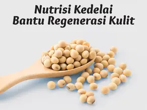 Nutrisi Kedelai Bantu Regenerasi Kulit