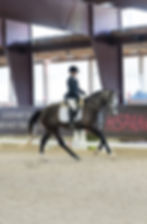 Qrystal Cadence SDSF