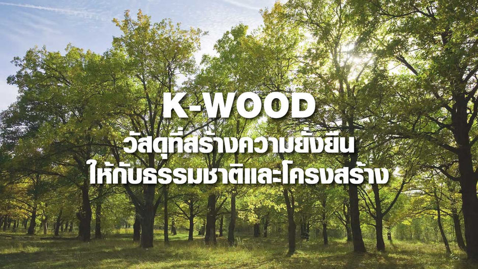 K-Wood วัสดุทดแทนไม้ ที่เหมือนไม้จริง