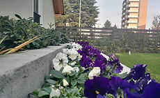 Floricoltura Vedano al Lambro
