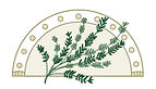 logo 2.jpeg