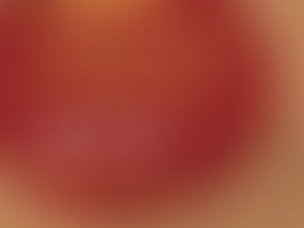 Reunião sobre monitoramento da atuação do Poder Público em Curitiba 