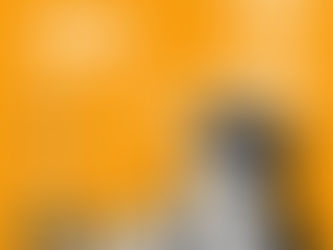 🚩 Erminia Maricato é a convidada do primeiro episódio do Meia Hora com o BrCidades. Dia 1º de junho