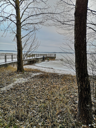IMG_20201212_144035-01.jpeg