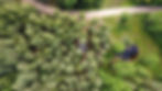 DJI_0304.JPG