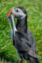 2024-06-26 at 14-14-36