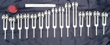 human organ tuning forks.webp