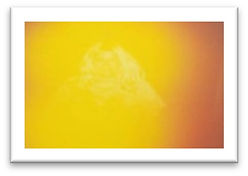 herbal cushion yellow.jpg