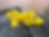 Miniature : Dragon Champignon jaune