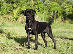 WhatsApp Image 2026-04-02 at 10.02.09 (4).jpeg