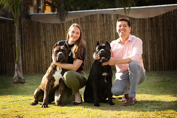 Ninhada de cane corso no rio de janeiro.jpg