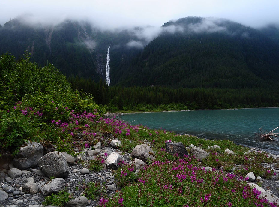 alpine and forests johnstone bay adventure