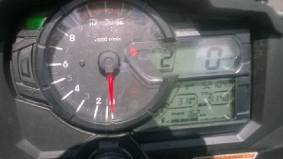 Speedo