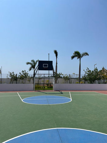 Corvus Acapulco Jireh