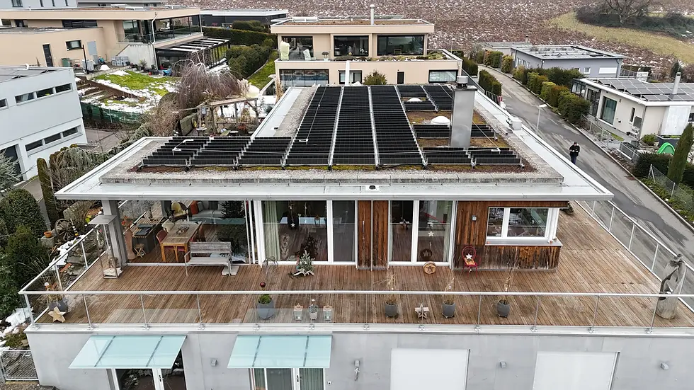 Private House with Green Roof