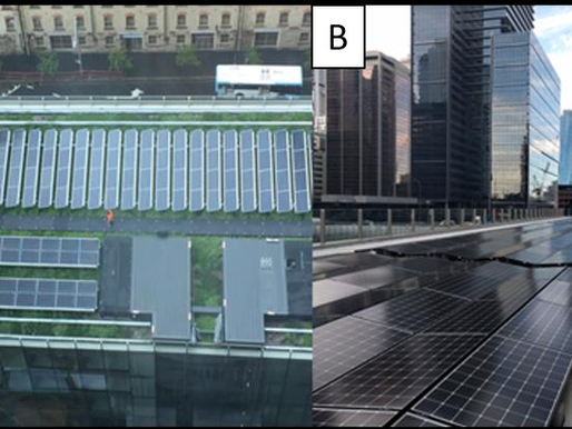 Luftfoto av et grønt tak i Australia, der solcellepaneler kombineres med beplantning på et tak i Sydney.