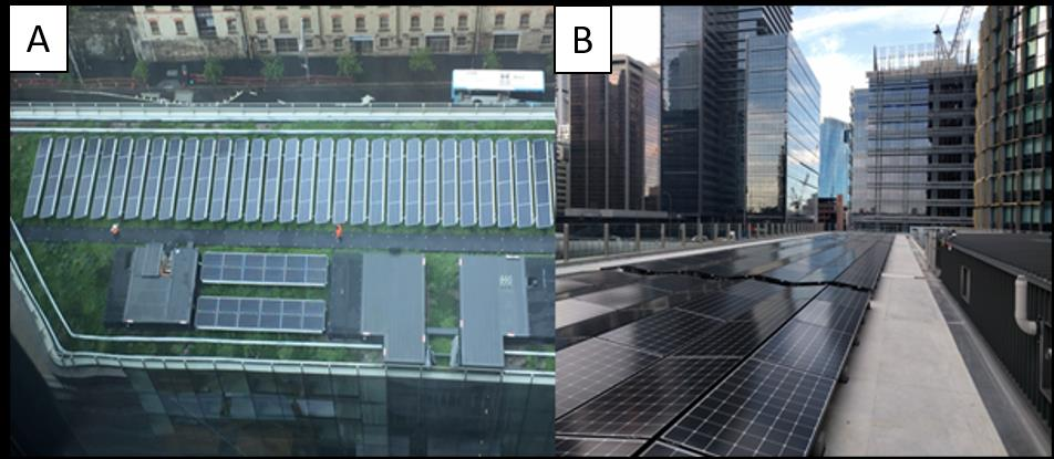 Aerial view of a green roof in Australia combining solar panels with vegetation on a Sydney rooftop.