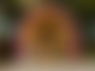 'Our £100 Holiday at Mount Cook'