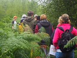 A group walking down a path