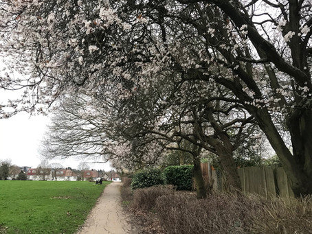 Spring is finally here! 🌷🌺🌸