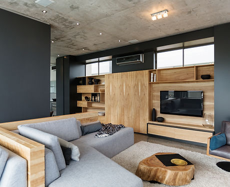 Modern Living Room