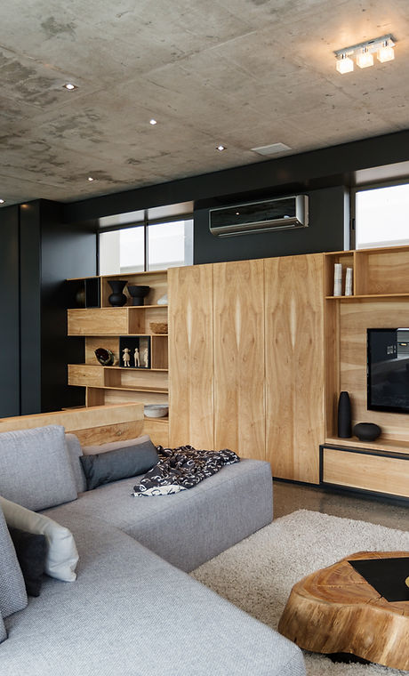 Modern Living Room