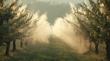 I need to create an image for a strip on my website that has a theme of sulfur dust - ligh