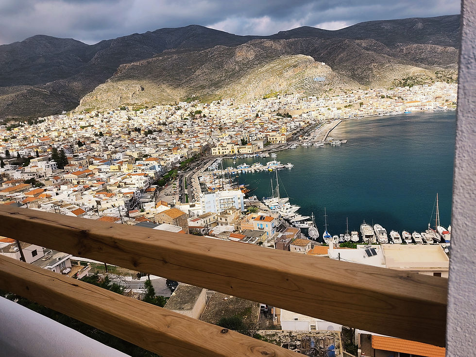 spongia view