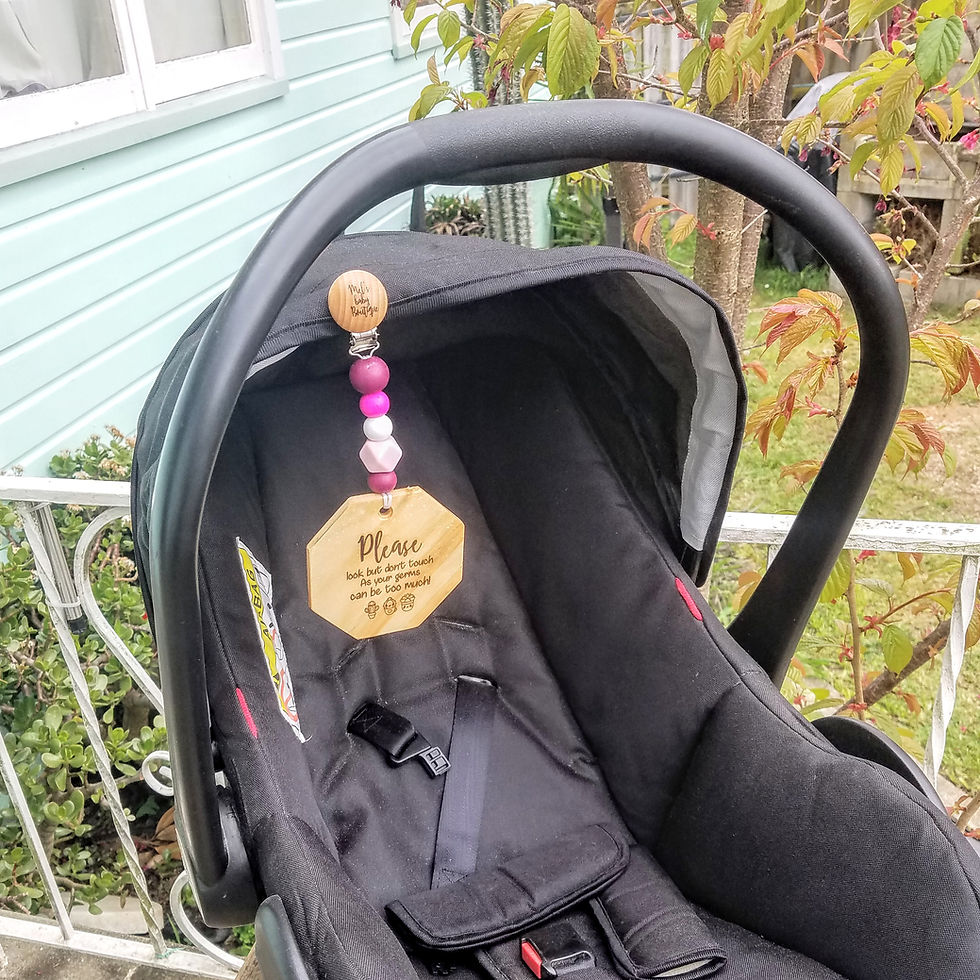 Thumbnail: Reversable Pram Sign