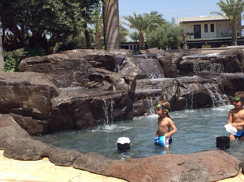בריכת שחייה מעוצבת עם מפלים וסלעים