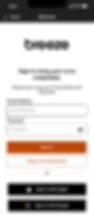 1.2 - Sign in Screen marta