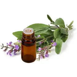 Sage Essential Oil - 10 Mls