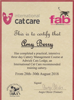 Cattery Management Course.jpeg