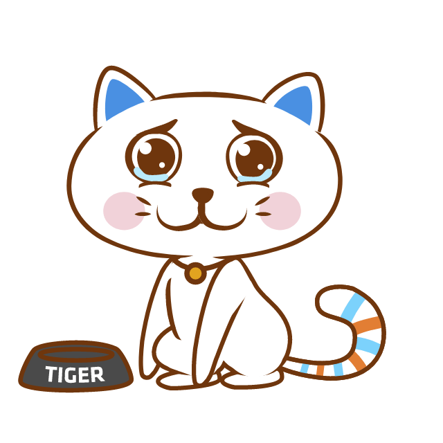 Cat feed.gif